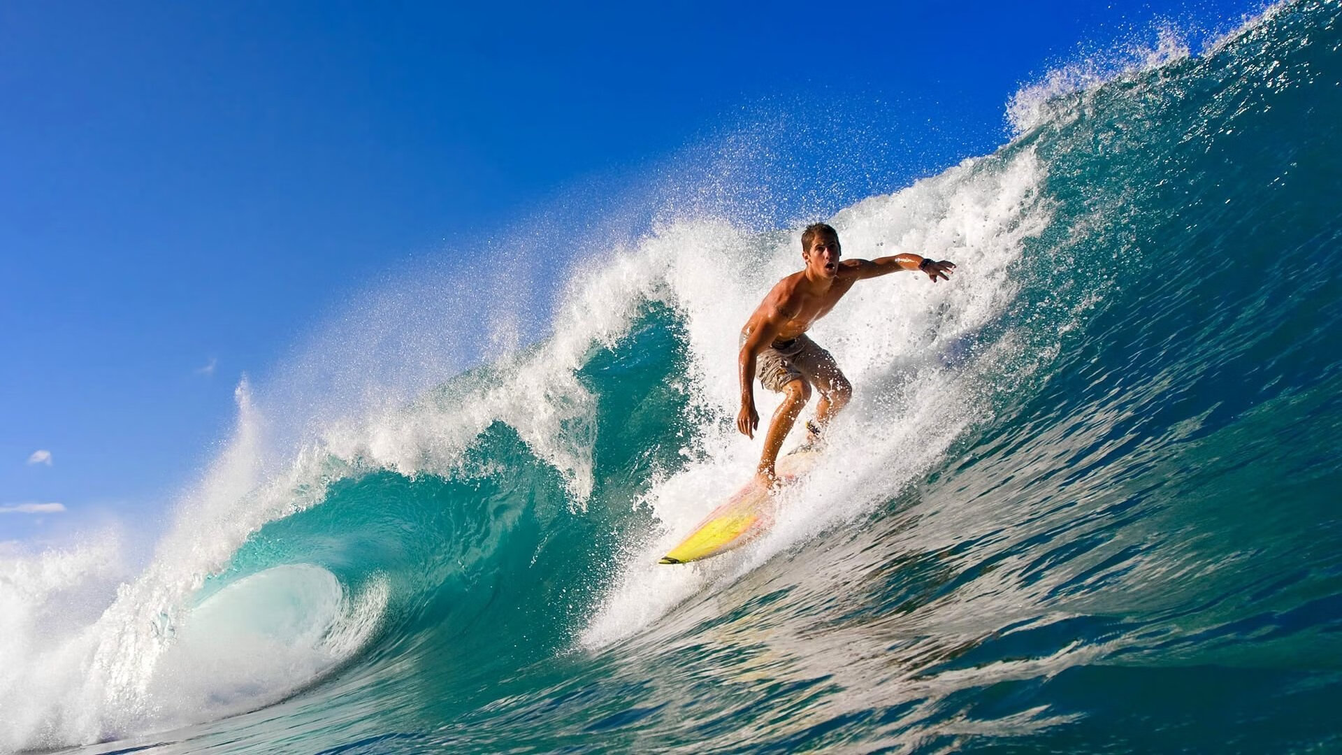 国际冲浪电影节，展现海上运动的动感魅力，冲浪题材电影